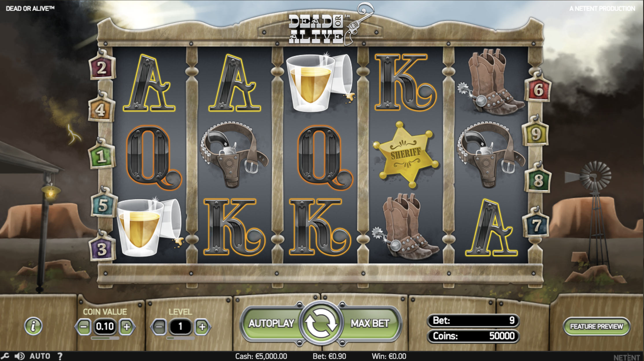 Dead or Alive Slot screenshot